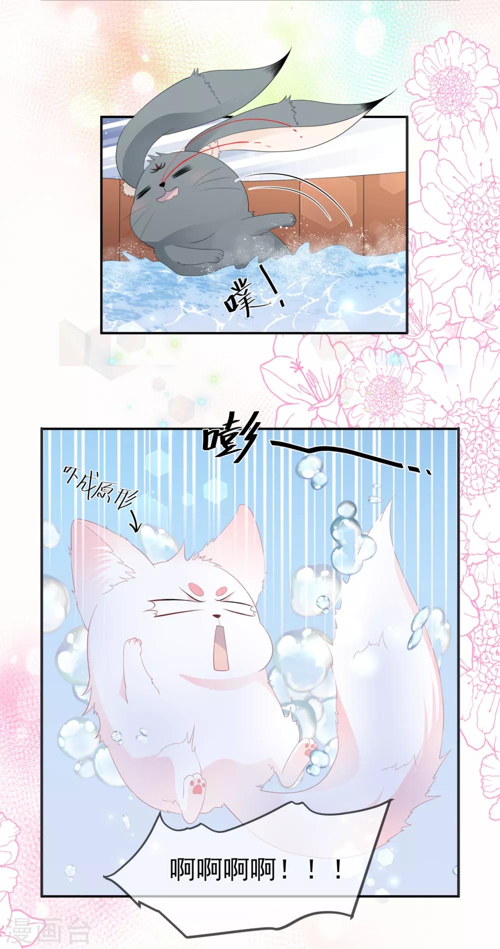 《权妃之帝医风华》停更公告 第4页