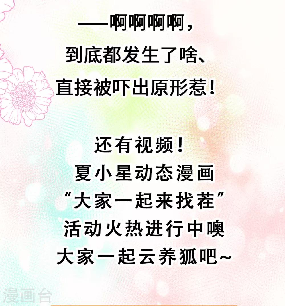 《权妃之帝医风华》停更公告 第5页
