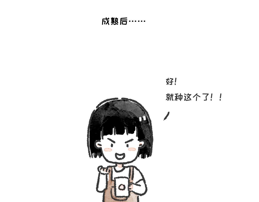 《一个人的小确幸》一起来种树 第13页
