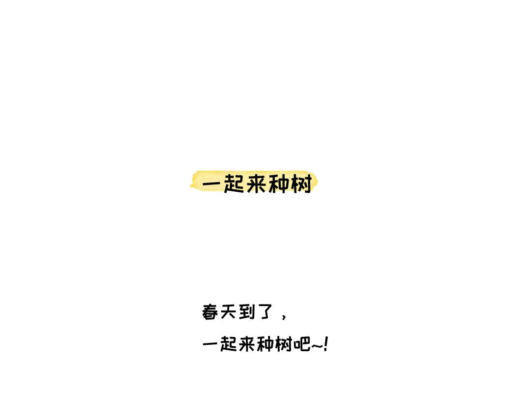 《一个人的小确幸》一起来种树 第1页
