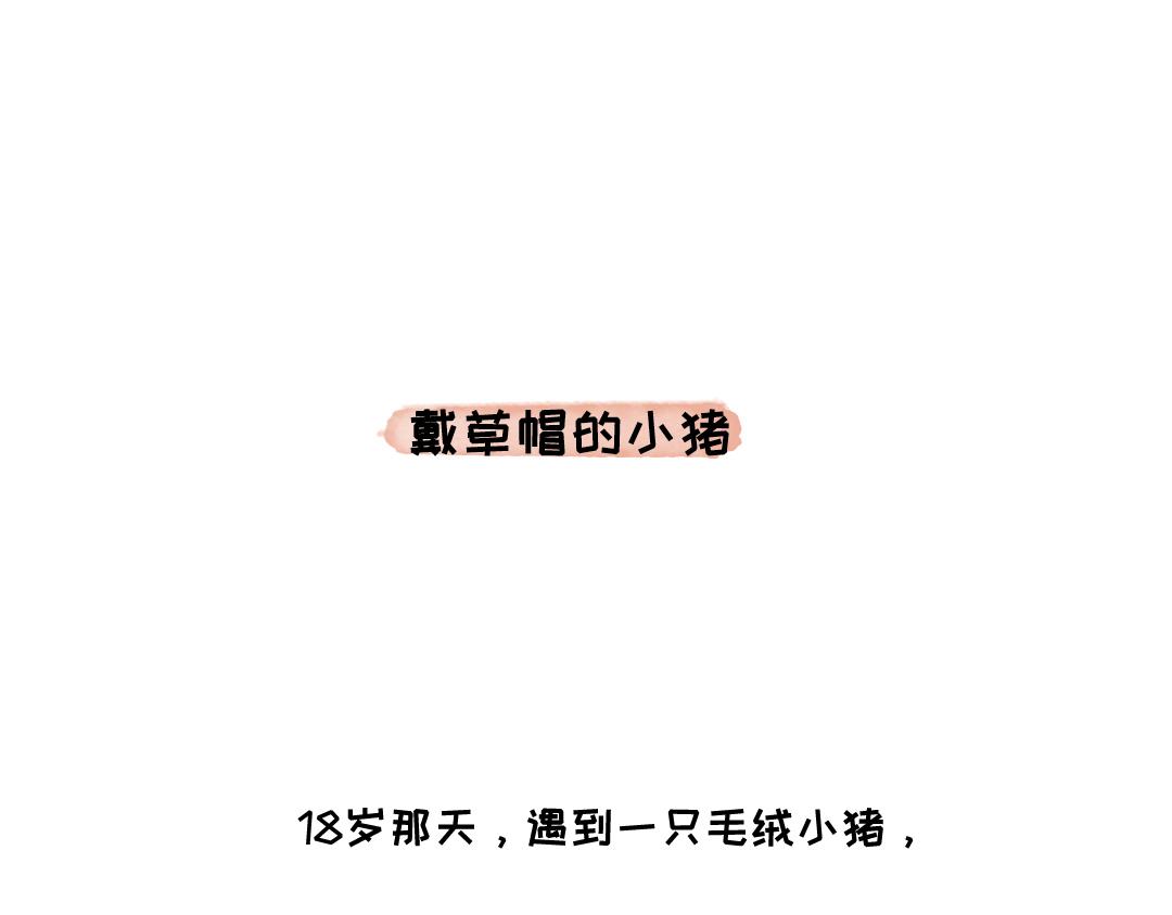 《一个人的小确幸》戴草帽的小猪 第16页