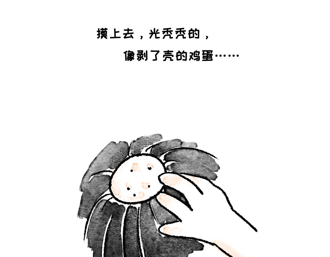 《一个人的小确幸》你知道什么叫斑秃吗 第11页