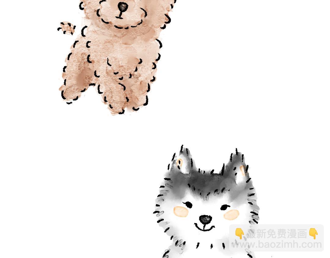 《一个人的小确幸》你知道什么叫斑秃吗 第4页