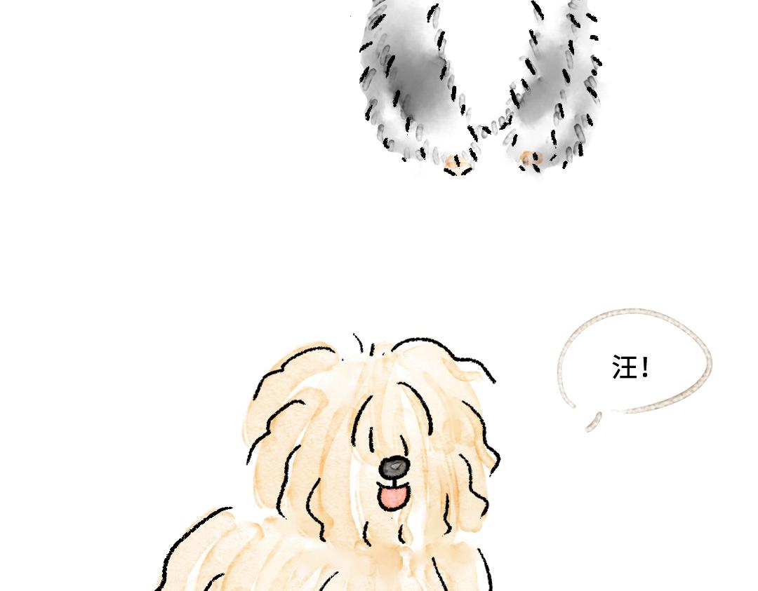 《一个人的小确幸》你知道什么叫斑秃吗 第5页