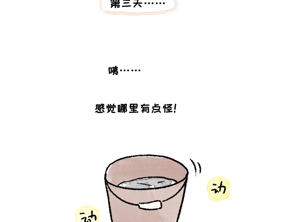 《一个人的小确幸》种豆芽 第13页