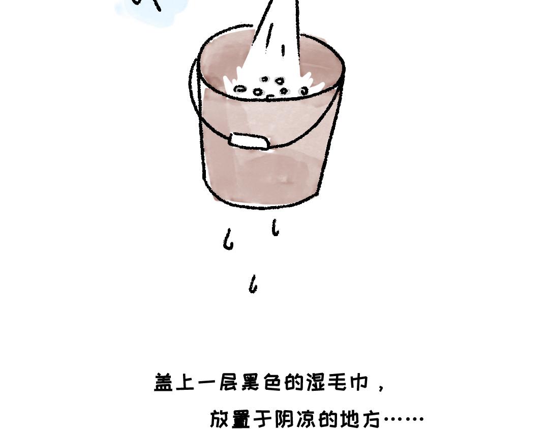 《一个人的小确幸》种豆芽 第5页