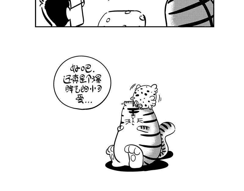 《hello!蒲公英》怒宝 第4页