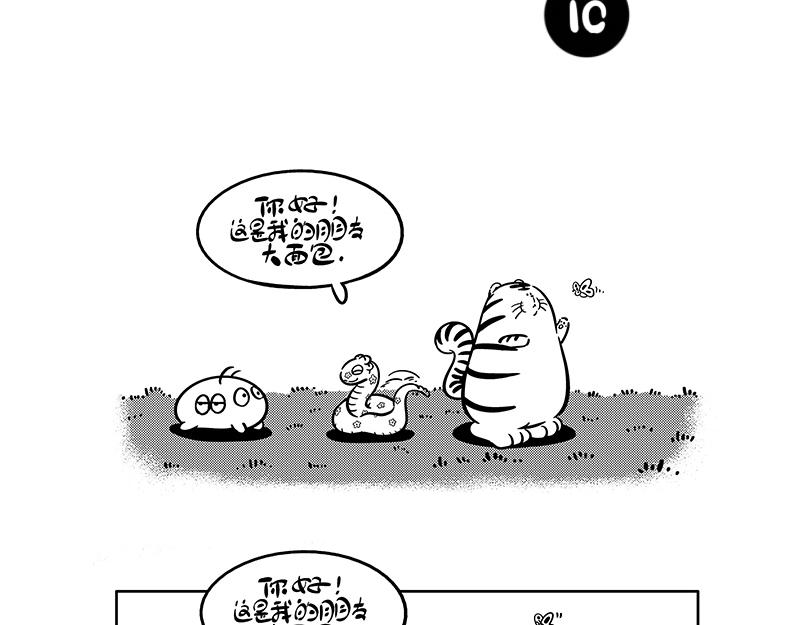 《hello!蒲公英》名字2 第6页