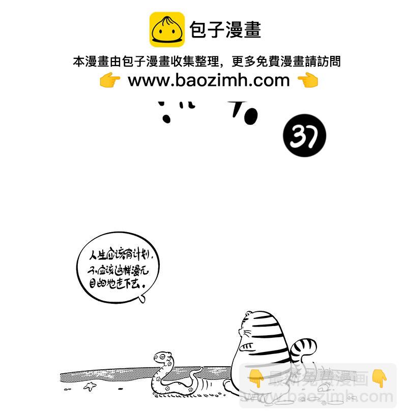 《hello!蒲公英》计划与梦想 第2页