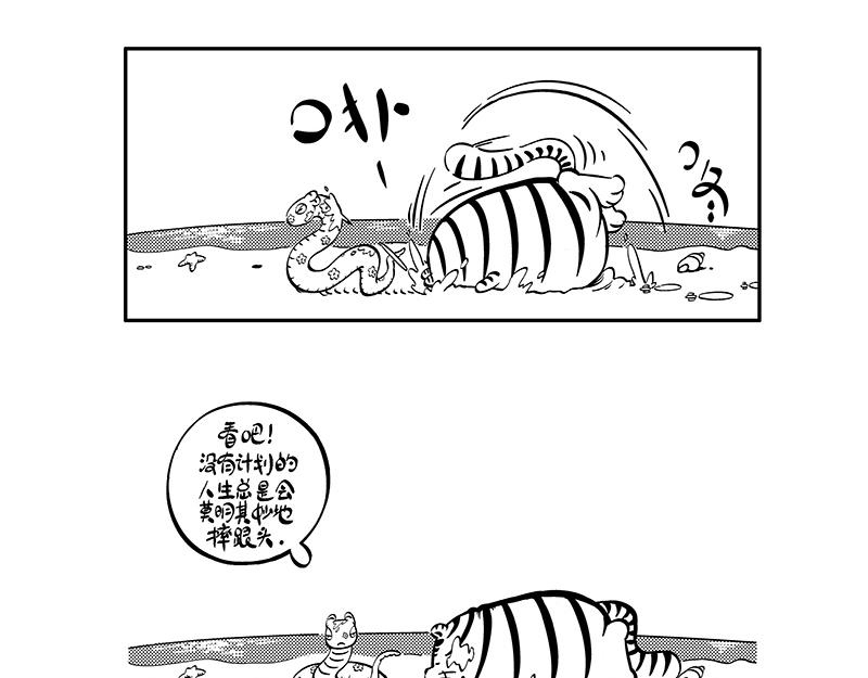 《hello!蒲公英》计划与梦想 第3页