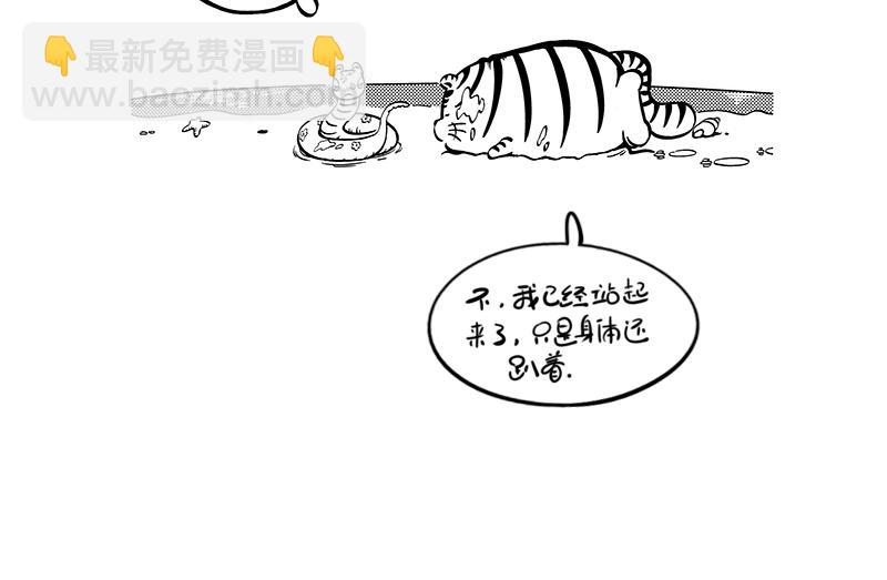 《hello!蒲公英》计划与梦想 第5页