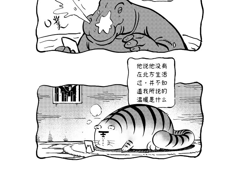 《hello!蒲公英》听众 第13页