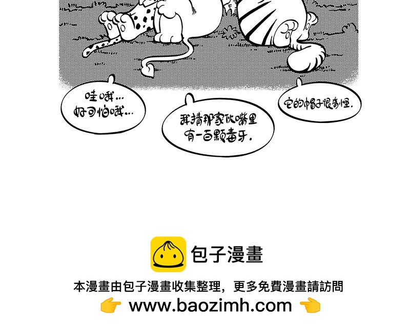 《hello!蒲公英》都是猫 第11页