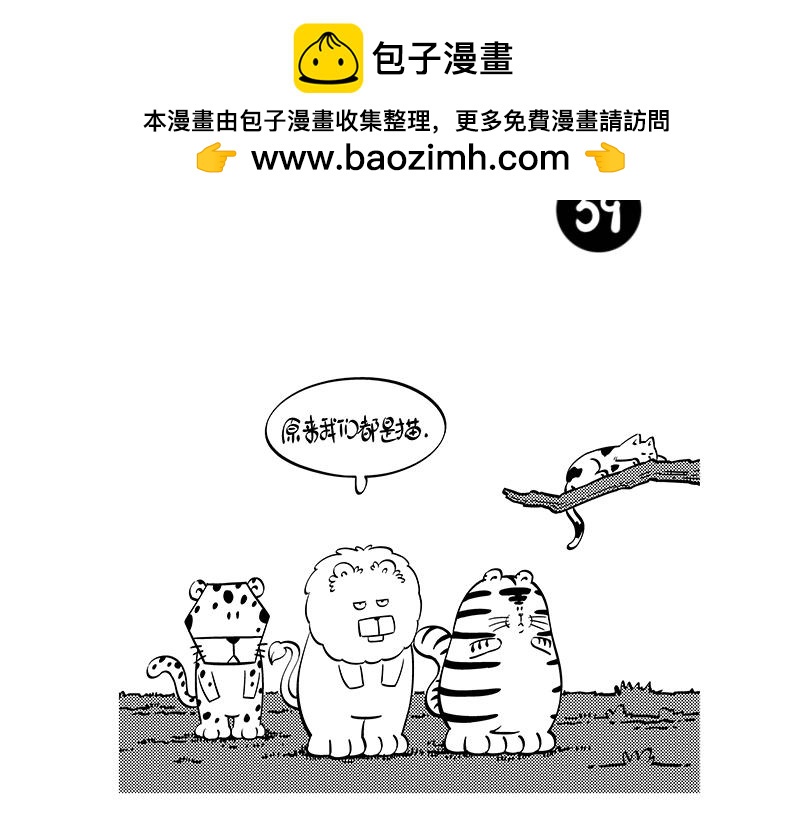 《hello!蒲公英》都是猫 第2页
