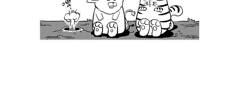 《hello!蒲公英》沉默游戏 第5页