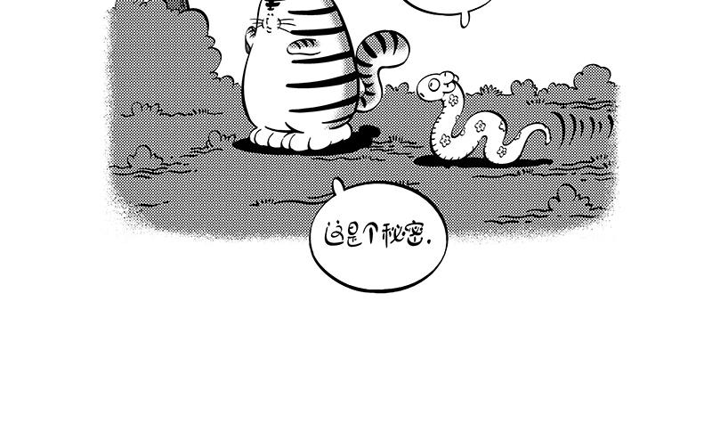 《hello!蒲公英》虫洞的秘密 第13页