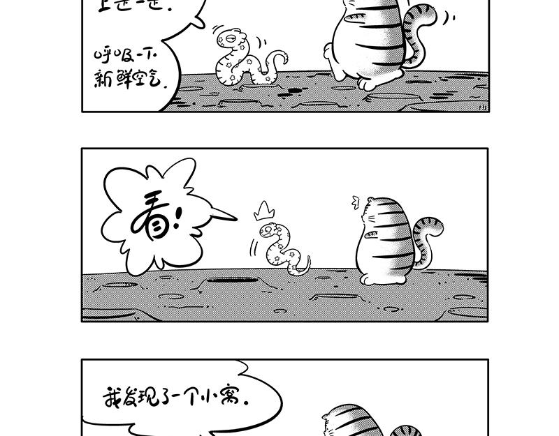 《hello!蒲公英》舒适圈 第4页