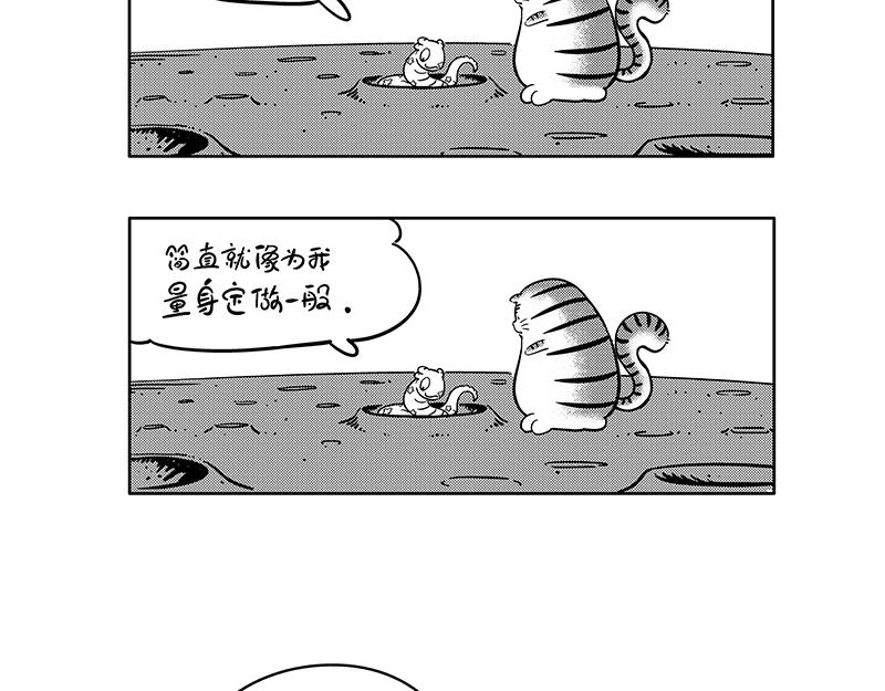 《hello!蒲公英》舒适圈 第5页