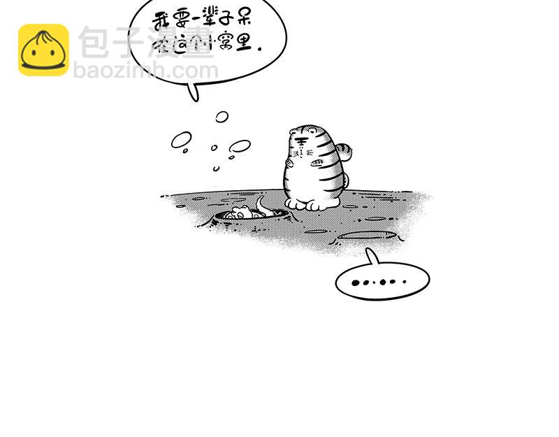 《hello!蒲公英》舒适圈 第6页