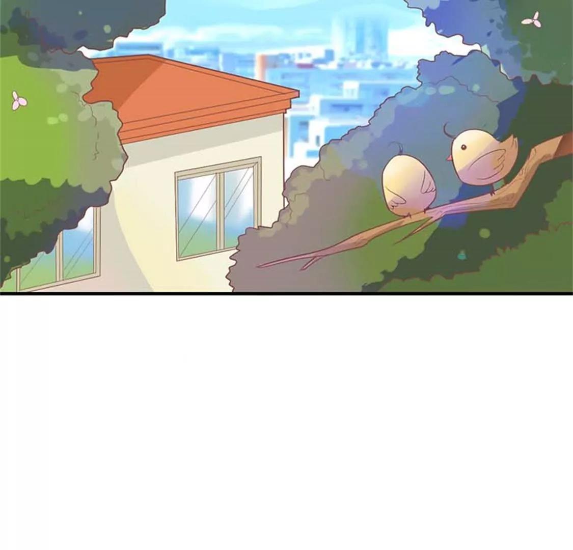 《贪欢一夜渣男终结者》我要你们付出代价 第26页