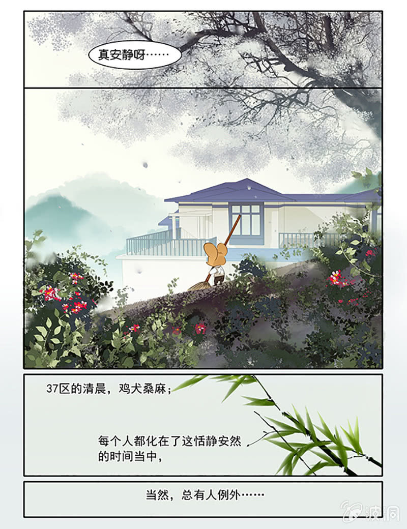 《诸子37区》55 第3页