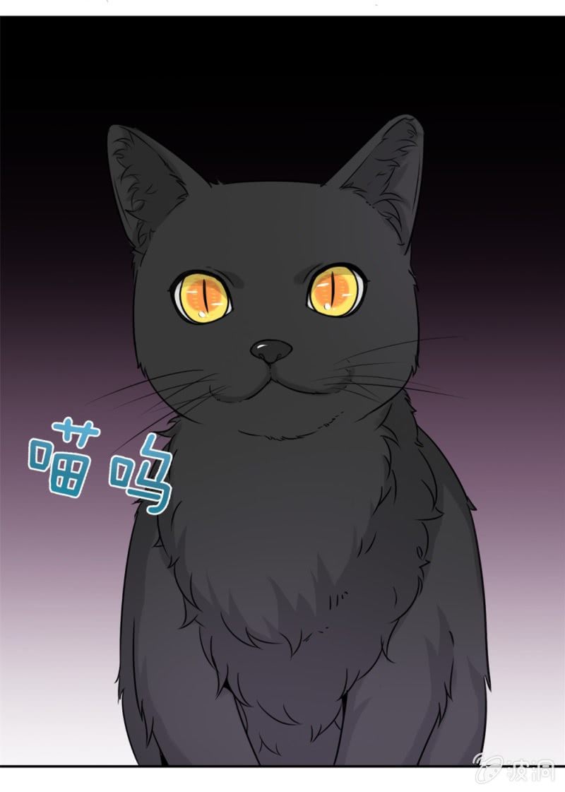 《上古大神住我家》第15话 它可不是普通的猫 第15页