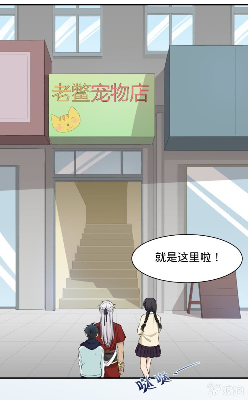 《上古大神住我家》第17话 充满妖怪的宠物店 第3页