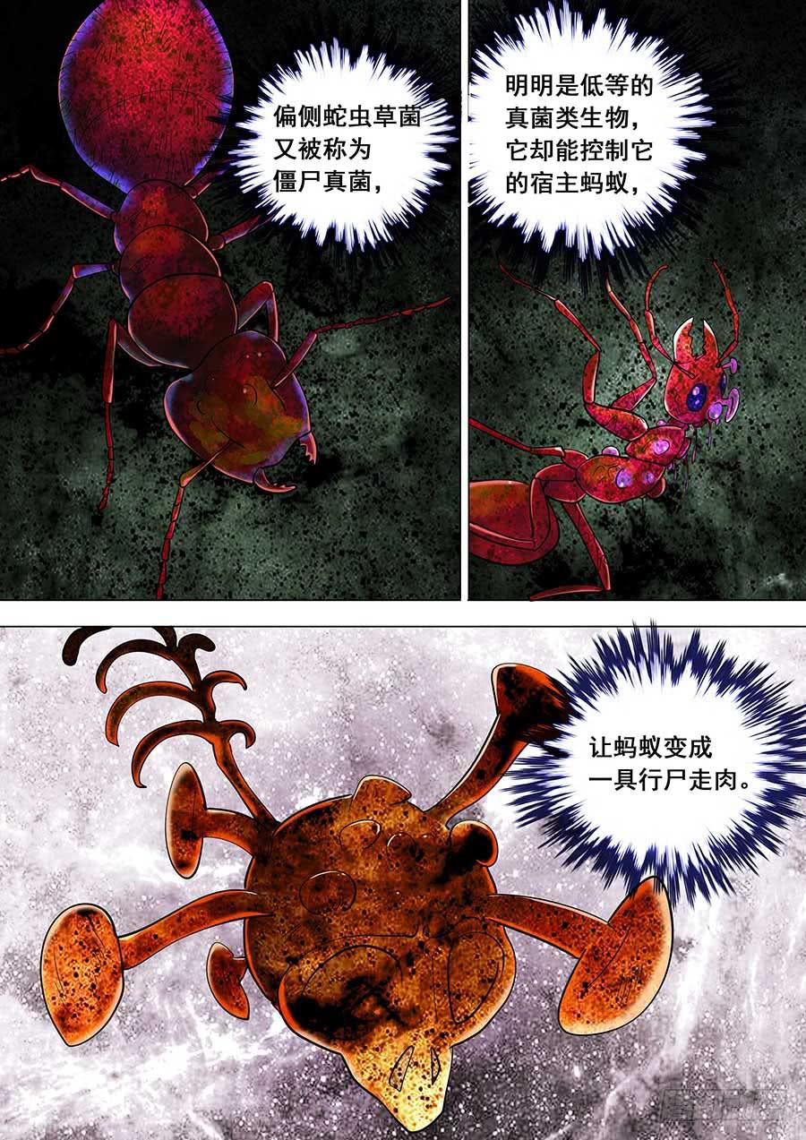 《素问玄机》21 上 第5页