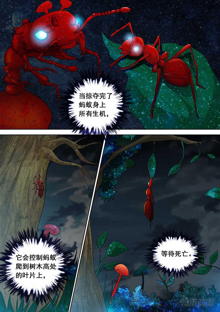 《素问玄机》21 上 第6页
