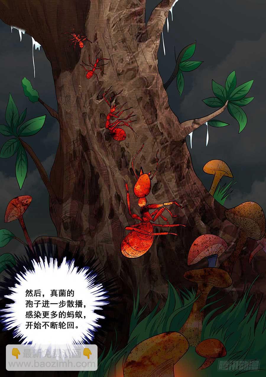 《素问玄机》21 上 第7页