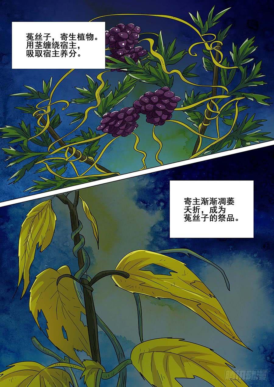 《素问玄机》25 下 第8页