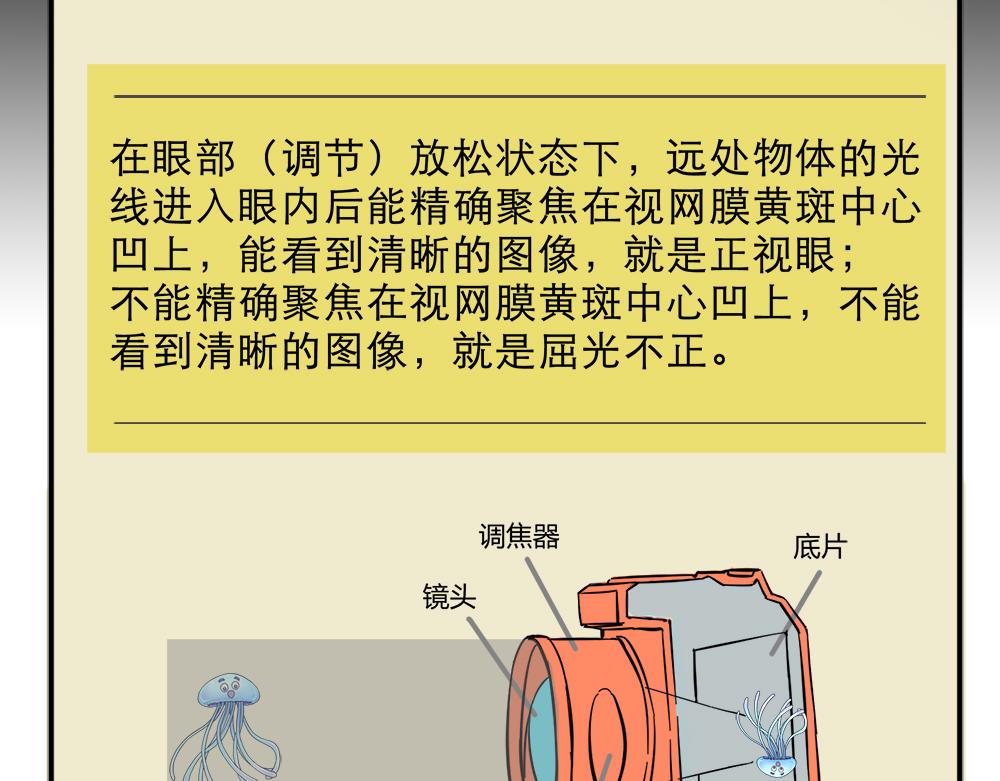 《漫话隐形眼镜》神奇的视觉 第47页