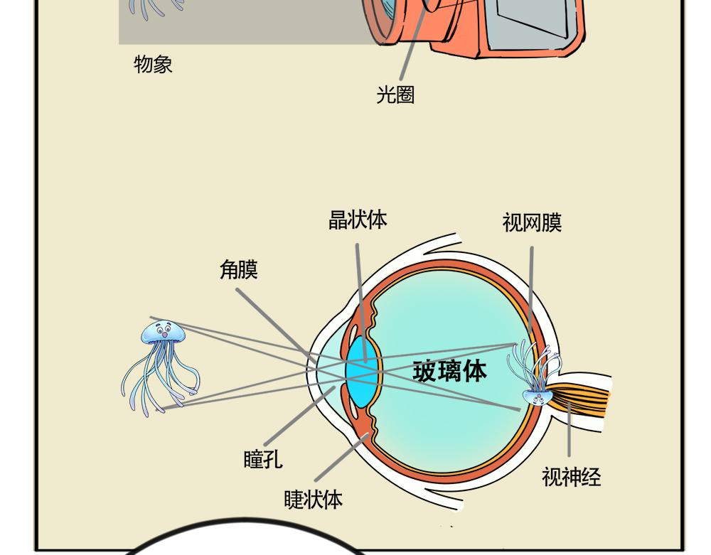 《漫话隐形眼镜》神奇的视觉 第48页