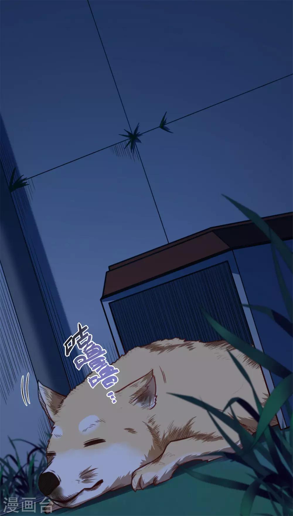 《网游之最强猎人》第21话 猎物 第6页