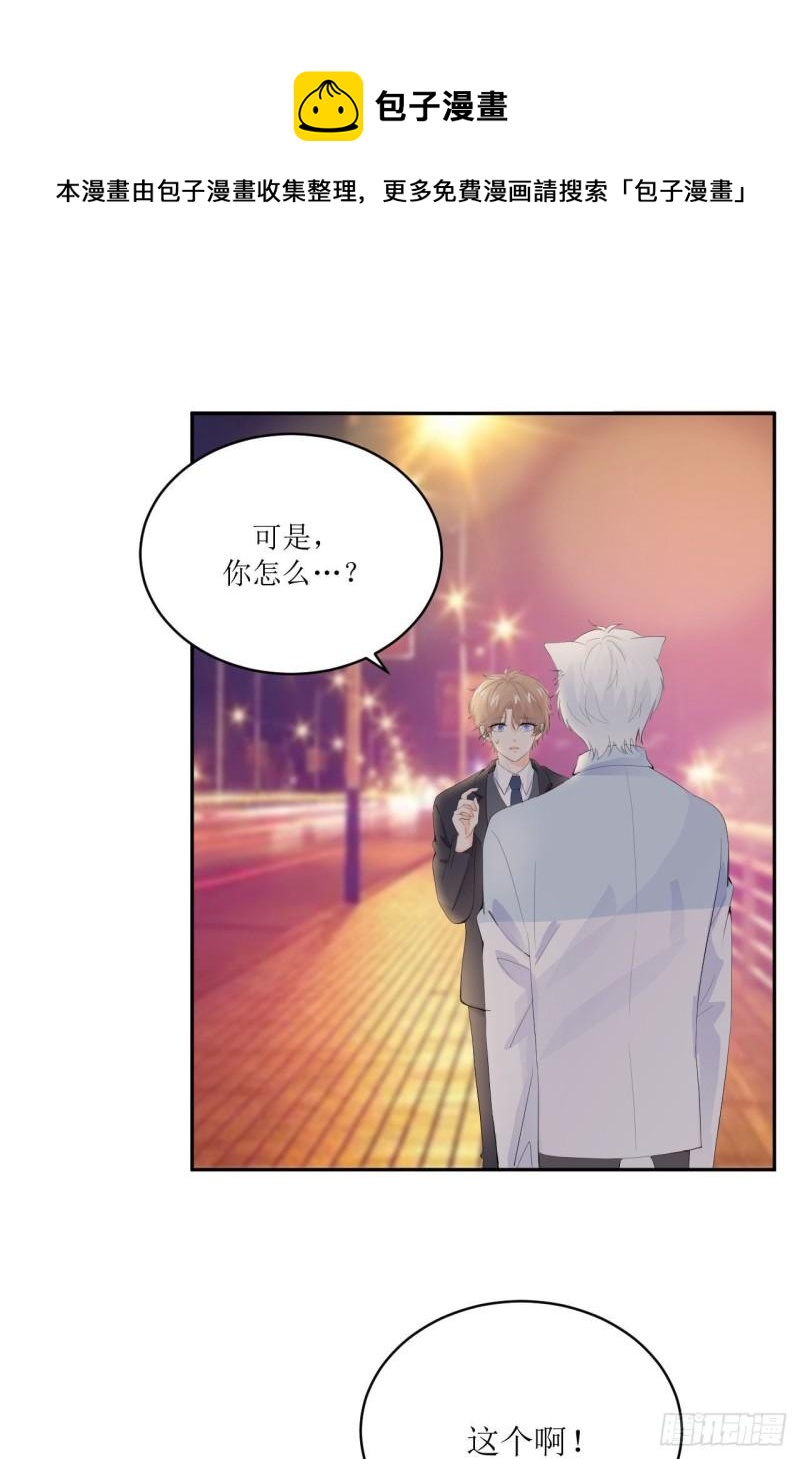 《狼崽养成指南》第11话 有些不一样的仔仔 第29页