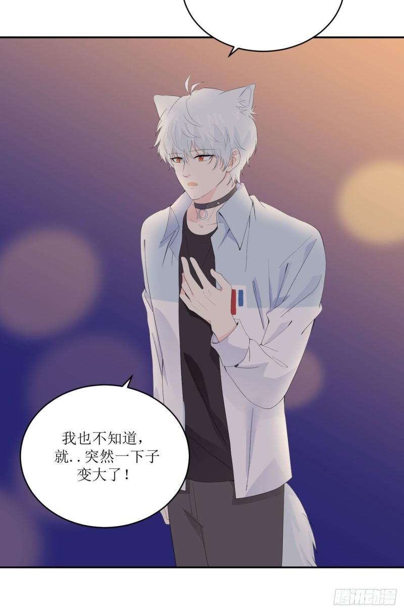 《狼崽养成指南》第11话 有些不一样的仔仔 第30页