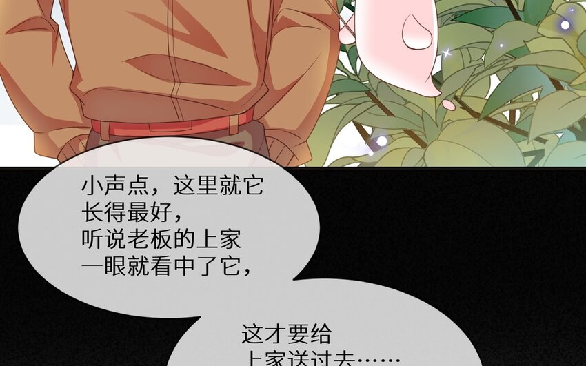《别拿绿茶不当杀器》17 第16话 死前幻像 第19页