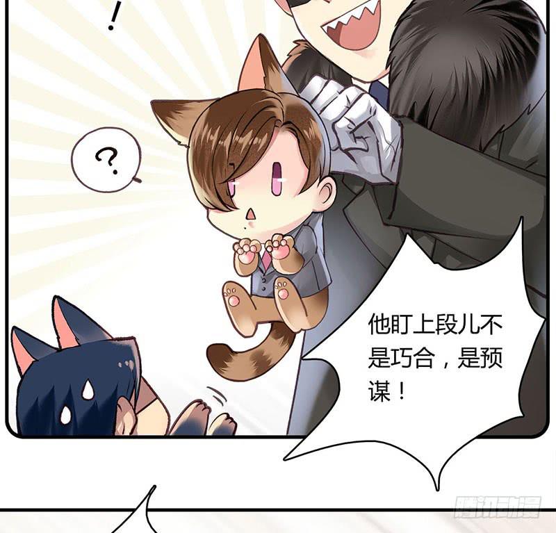 《卿如丝》60 第36页