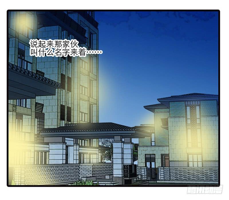 《宠爱我吧！兽医先生》第三回 醒醒！红糖！ 第28页