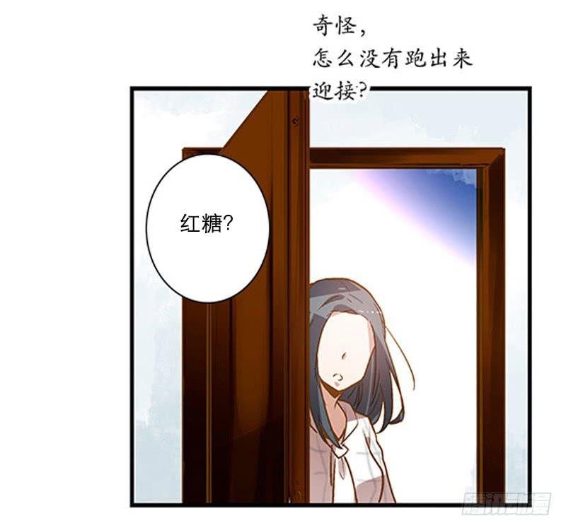 《宠爱我吧！兽医先生》第三回 醒醒！红糖！ 第30页