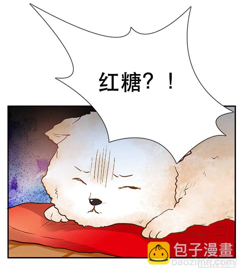 《宠爱我吧！兽医先生》第三回 醒醒！红糖！ 第32页