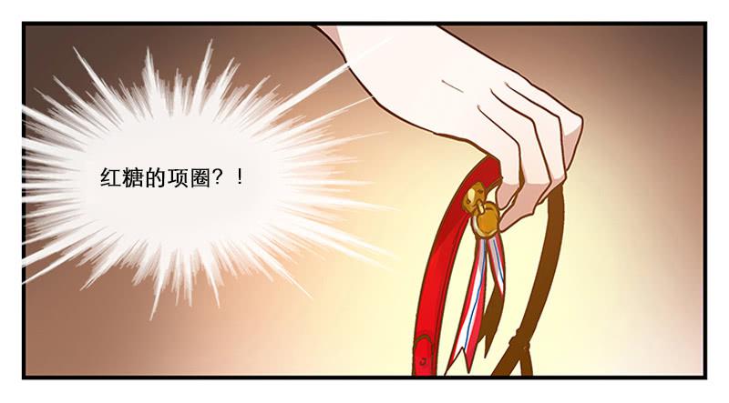 《宠爱我吧！兽医先生》第二回 红糖你在哪儿？ 第10页
