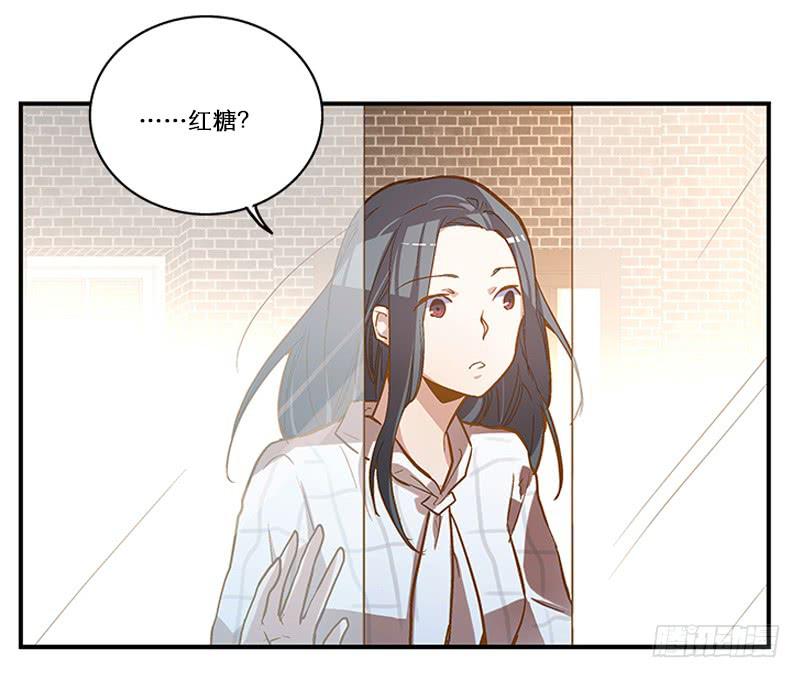 《宠爱我吧！兽医先生》第二回 红糖你在哪儿？ 第12页