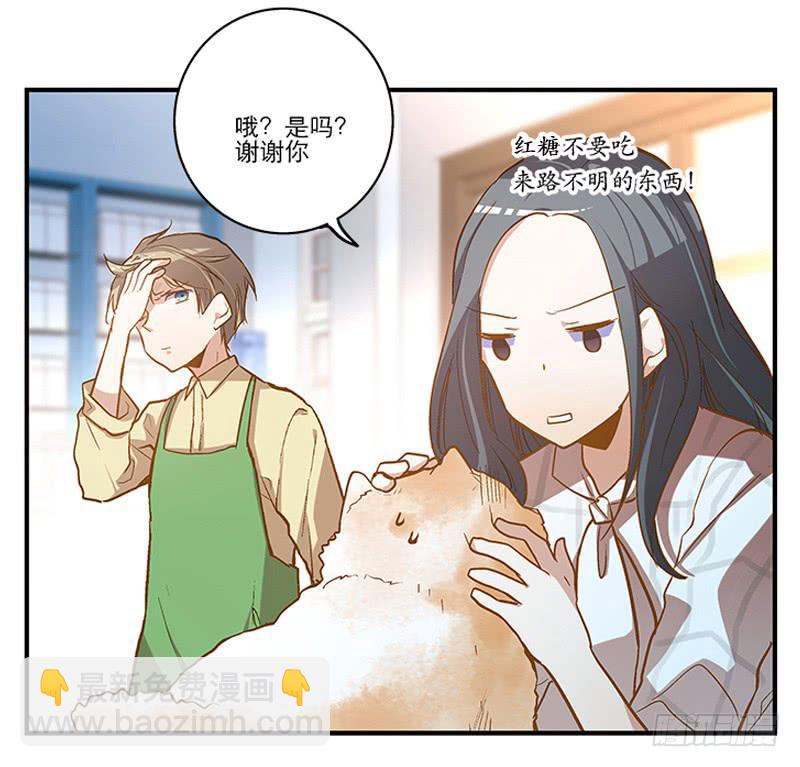 《宠爱我吧！兽医先生》第二回 红糖你在哪儿？ 第20页