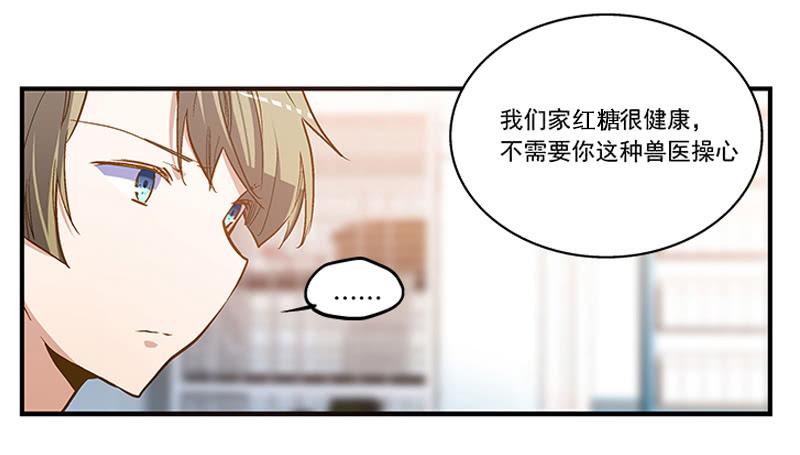 《宠爱我吧！兽医先生》第二回 红糖你在哪儿？ 第28页