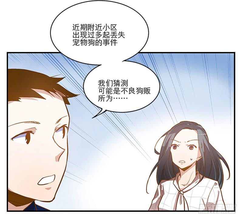 《宠爱我吧！兽医先生》第二回 红糖你在哪儿？ 第2页