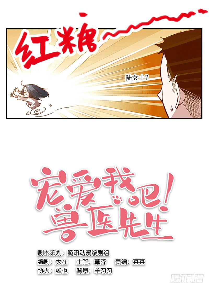 《宠爱我吧！兽医先生》第二回 红糖你在哪儿？ 第4页