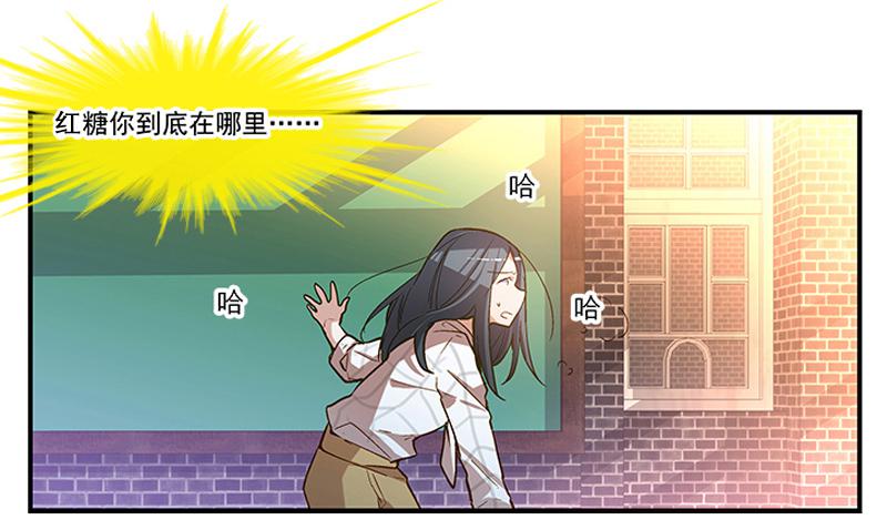 《宠爱我吧！兽医先生》第二回 红糖你在哪儿？ 第7页