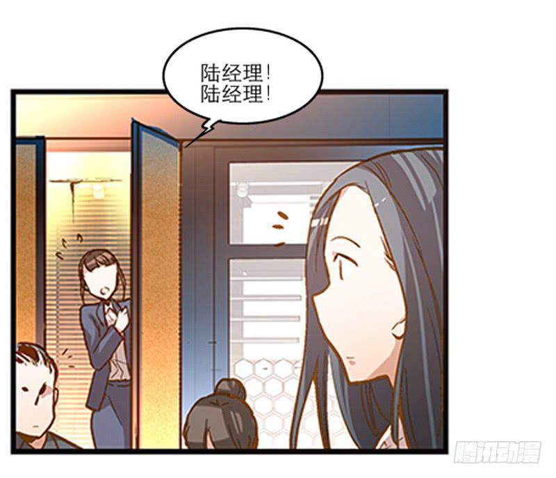 《宠爱我吧！兽医先生》第一回 新上任的陆经理 第16页