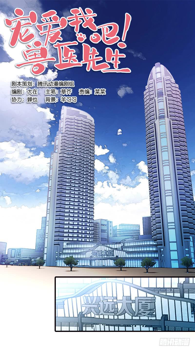 《宠爱我吧！兽医先生》第一回 新上任的陆经理 第1页